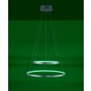 Leuchten Direkt Ls-CIRCLE Lampa Wisząca LED Stal nierdzewna, 1-punktowy, Zdalne sterowanie, Zmieniacz kolorów