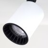 Kullaberg Lampa Sufitowa Biały, 3-punktowe