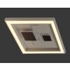 Lampa Sufitowa Paul Neuhaus ELIZA LED Biały, 1-punktowy