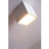 Helestra LED lampa sufitowa Aluminium, Biały, 1-punktowy