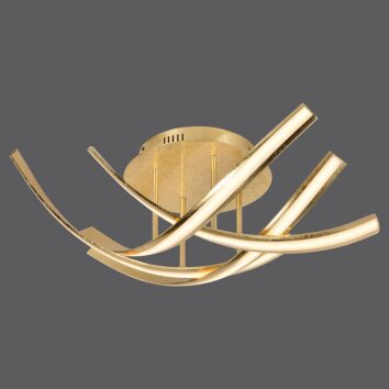 Paul Neuhaus LINDA lampa sufitowa LED Złoty, 4-punktowe