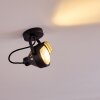 Rahway Lampa Sufitowa Czarny, 1-punktowy