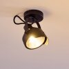 Rahway Lampa Sufitowa Czarny, 1-punktowy