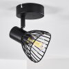 Lampa Sufitowa Holbol Czarny, 1-punktowy