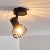 Lampa Sufitowa Holbol Czarny, 1-punktowy