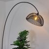 Pralo Lampa Stojąca Czarny, 1-punktowy