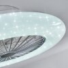 Piraeus wentylator sufitowy LED Tytan, Biały, 1-punktowy, Zdalne sterowanie