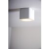 Helestra lampa sufitowa LED Biały, 1-punktowy