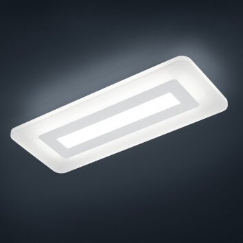 Helestra Wes Lampa sufitowa LED Szary, Biały, 1-punktowy