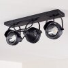 Rahway Lampa Sufitowa Czarny, 3-punktowe
