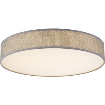 Globo Paco Lampa Sufitowa LED Biały, 1-punktowy