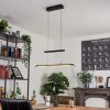 Junsele Lampa Wisząca LED Czarny, 1-punktowy Junsele Lampa Wisząca LED Czarny, 1-punktowy
