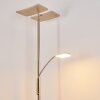 Thyolo Lampa Stojąca oświetlająca sufit LED Stal szczotkowana, 2-punktowe