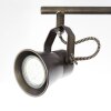 Lampa sufitowa Brilliant Seed Ciemne drewno, Czarny, 4-punktowe