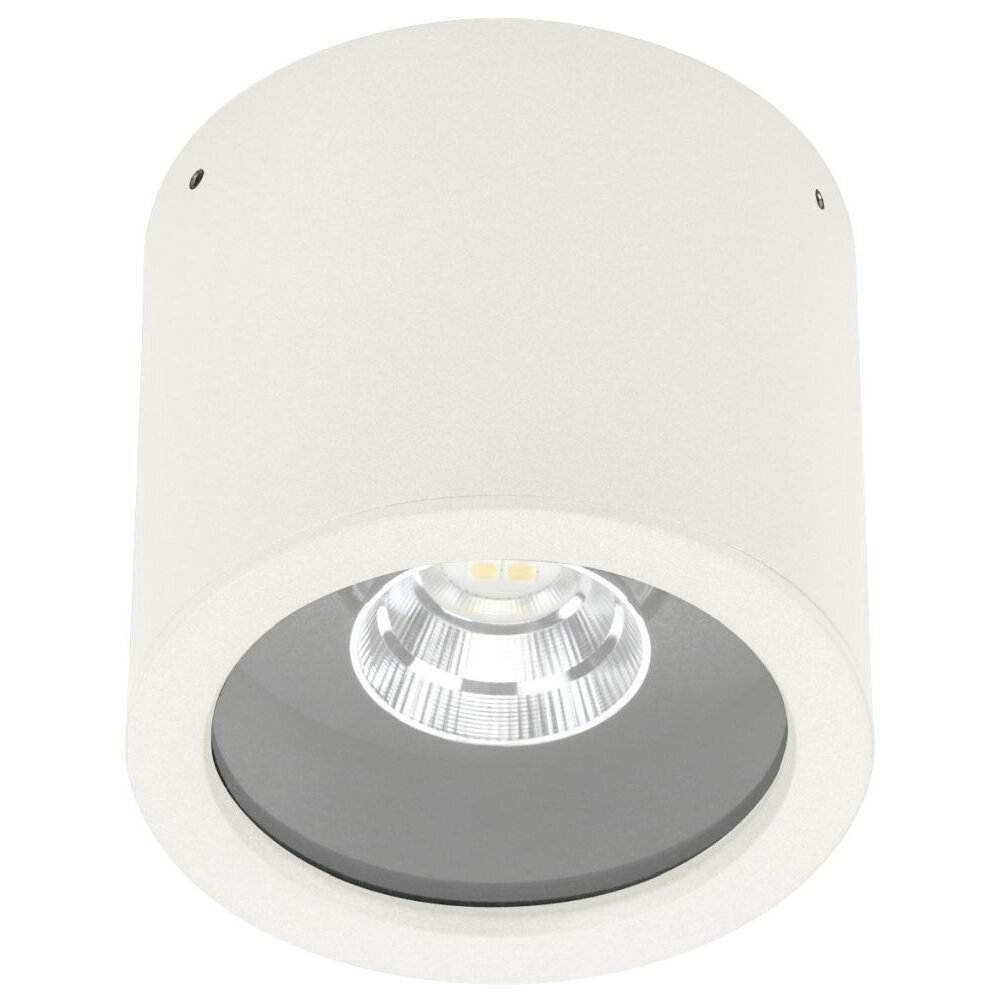 Albert 2319 Natynkowa oprawa sufitowa LED Biały, 1-punktowy main product photo