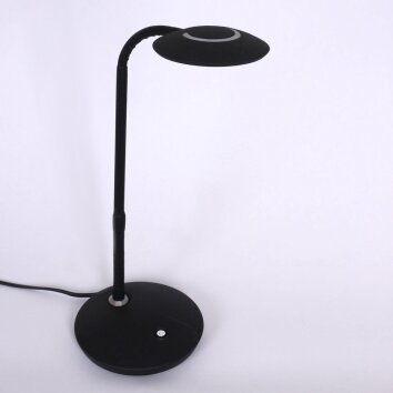 Steinhauer Zenith Lampa stołowa LED Czarny, 1-punktowy