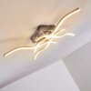 Mapleton Lampa Sufitowa LED Nikiel matowy, 4-punktowe