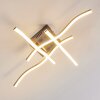 Mapleton Lampa Sufitowa LED Nikiel matowy, 4-punktowe