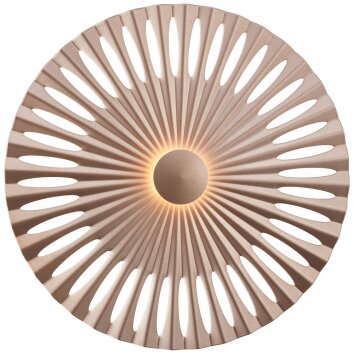 Brilliant Phinx Lampa ścienna LED Brązowy, W kolorze kremowym, 1-punktowy