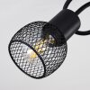 Cairns Lampa Sufitowa Czarny, 3-punktowe