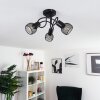 Cairns Lampa Sufitowa Czarny, 3-punktowe