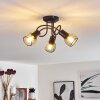 Cairns Lampa Sufitowa Czarny, 3-punktowe