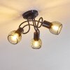 Cairns Lampa Sufitowa Czarny, 3-punktowe