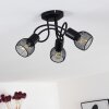 Cairns Lampa Sufitowa Czarny, 3-punktowe