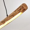 Winterthur Lampa Wisząca LED Jasne drewno, Czarny, 1-punktowy