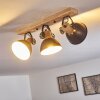 Lampa Sufitowa Orny Antracytowy, Jasne drewno, 3-punktowe