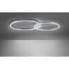 Lampa Sufitowa Paul Neuhaus Q-KATE LED Aluminium, 1-punktowy, Zdalne sterowanie