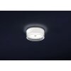 Helestra YUMA Oświetlenie ścienne i sufitowe LED Biały, 1-punktowy