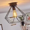 Cenova Lampa Sufitowa Czarny, 1-punktowy