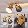 Lampa Sufitowa Orny Antracytowy, Jasne drewno, 2-punktowe