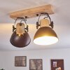 Lampa Sufitowa Orny Antracytowy, Jasne drewno, 2-punktowe