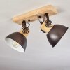 Lampa Sufitowa Orny Antracytowy, Jasne drewno, 2-punktowe