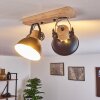 Lampa Sufitowa Orny Antracytowy, Jasne drewno, 2-punktowe