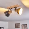 Lampa Sufitowa Orny Antracytowy, Jasne drewno, 2-punktowe