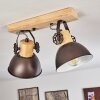 Lampa Sufitowa Orny Antracytowy, Jasne drewno, 2-punktowe