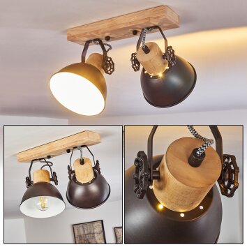 Lampa Sufitowa Orny Antracytowy, Jasne drewno, 2-punktowe