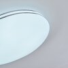 Genthin Lampa Sufitowa LED Biały, 1-punktowy, Zdalne sterowanie
