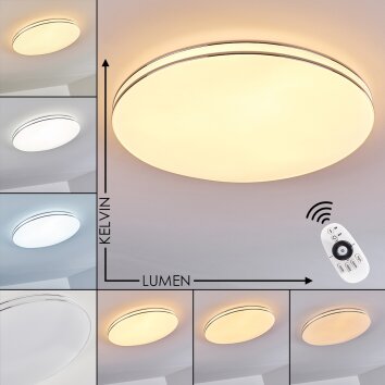 Genthin Lampa Sufitowa LED Biały, 1-punktowy, Zdalne sterowanie