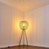 Flambeau Lampa Stojąca Czarny, 1-punktowy