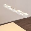 Nagold Lampa Wisząca LED Biały, 1-punktowy