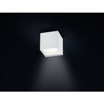 Helestra SIRI LED lampa sufitowa Biały, 1-punktowy