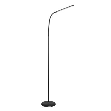 Eglo LAROA Lampa Stojąca LED Czarny, 1-punktowy