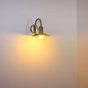 Elima lampa ścienna Stal nierdzewna, 1-punktowy