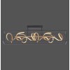 Paul Neuhaus SELINA Lampa Sufitowa LED Czarny, 4-punktowe