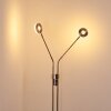 Gulkana Lampa Stojąca LED Nikiel matowy, 2-punktowe