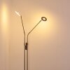 Gulkana Lampa Stojąca LED Nikiel matowy, 2-punktowe